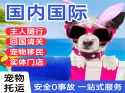 韶关航空邮寄国际宠物托运 【国